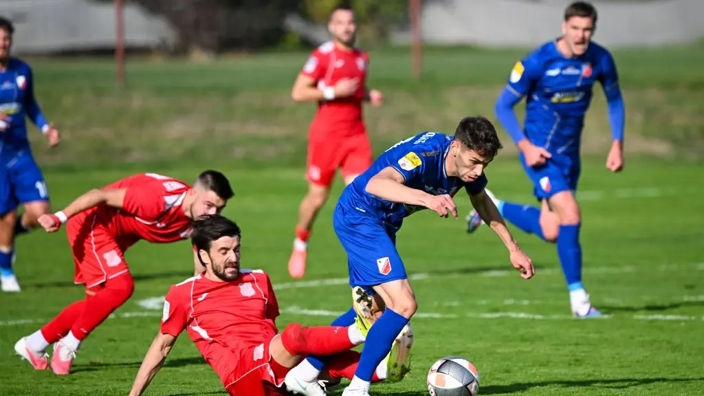 vojvodina slovan roman fk vojvodina-6ae2024130aac.webp